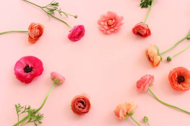 Pastel arkaplan üzerinde pembe çiçeklerin üst görünümü