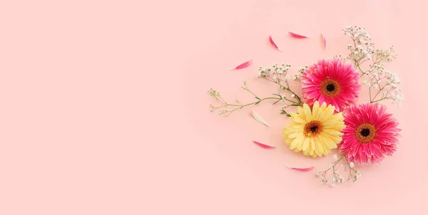 Horní Pohled Obrázek Krásné Květiny Složení Přes Pastelové Růžové Pozadí — Stock fotografie