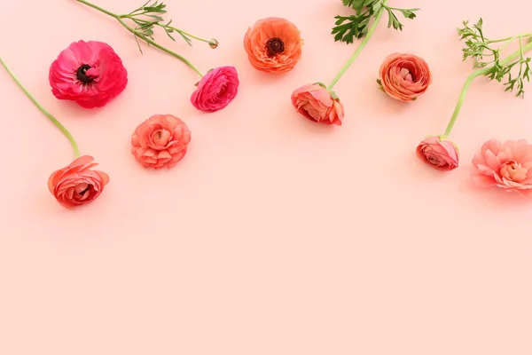 Top View Image Pink Flowers Composition Pastel Background — Stock Photo, Image