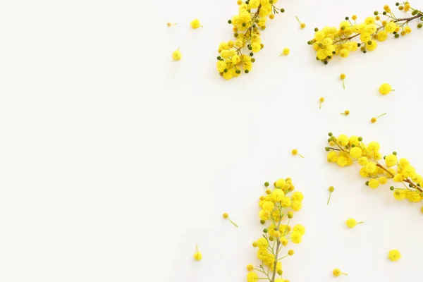 stock image Top view image of spring yellow mimosa flowers composition over white background