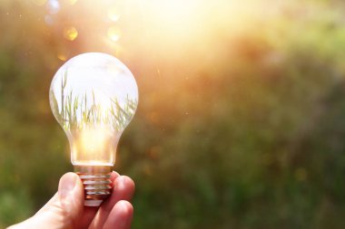 Enerji, doğa ve iş konsepti imajı. Yaratıcı fikir ve yenilik. Güneş 'in önündeki ampul metaforu