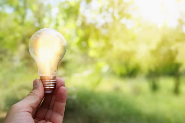 Energy Business Concept Image Creative Idea Innovation Light Bulb Metaphor — Stockfoto
