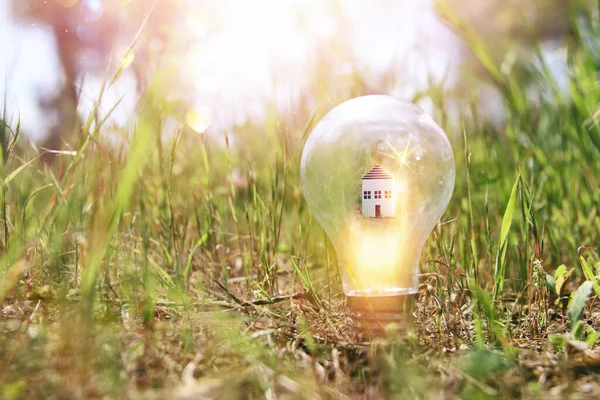 Konzeptbild Einer Glühbirne Und Eines Kleinen Hauses Der Natur Idee — Stockfoto