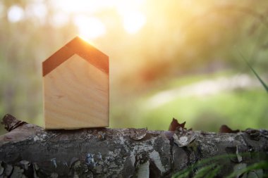 Doğada küçük bir ev imajı. Ekoloji, güneş enerjisi ve sürdürülebilirlik fikri