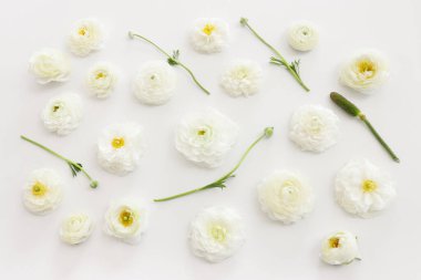 Beyaz çiçek bileşiminin üst görünümü