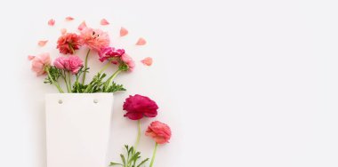 Beyaz izole edilmiş arkaplan üzerindeki pembe çiçeklerin üst görünümü