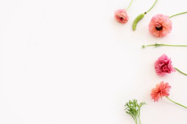 Beyaz izole edilmiş arkaplan üzerindeki pembe çiçeklerin üst görünümü