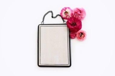 Pembe çiçeklerin üst görüntüsü ve beyaz arkaplan üzerinde siyah zarif boş çerçeve. Model oluşturmak için, alanı kopyala