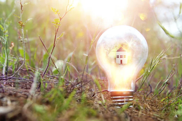 stock image Concept image of a light bulb and small house in nature. Idea of ecology, solar energy, and sustainability