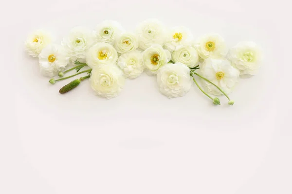 Beyaz Çiçek Bileşiminin Üst Görünümü — Stok fotoğraf