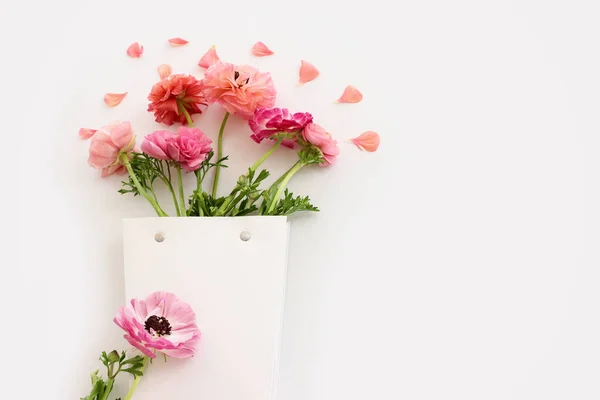 Изображение Композиции Розовых Цветов Белом Изолированном Фоне — стоковое фото