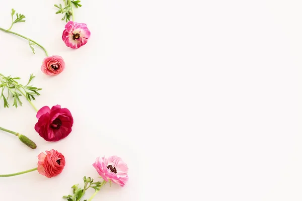 Изображение Композиции Розовых Цветов Белом Изолированном Фоне — стоковое фото