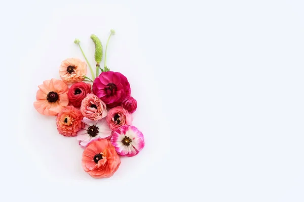 Beyaz Izole Edilmiş Arkaplan Üzerindeki Pembe Çiçeklerin Üst Görünümü — Stok fotoğraf