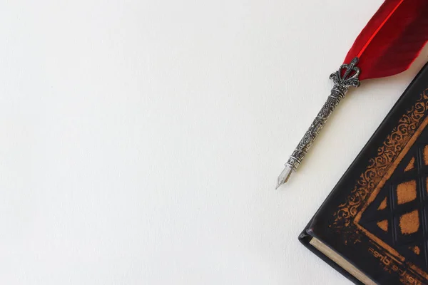 Kırmızı Tüylü Kaliteli Mürekkep Kalemi — Stok fotoğraf
