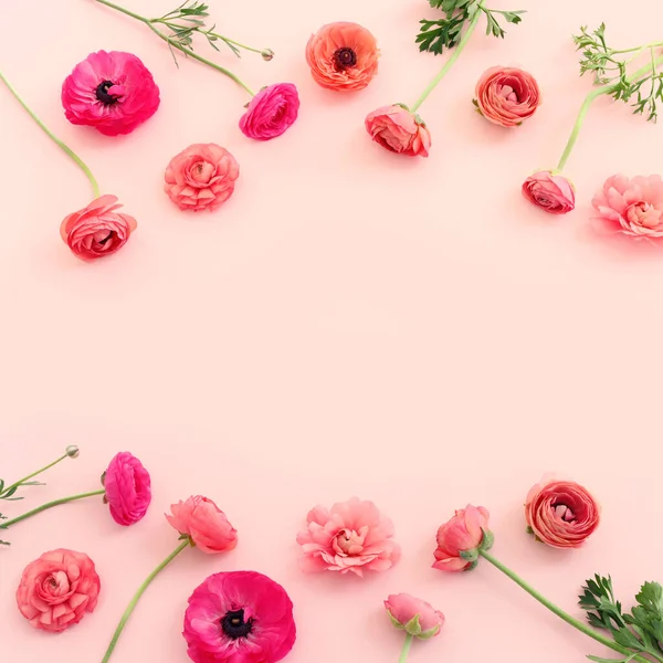 Pastel Arkaplan Üzerinde Pembe Çiçeklerin Üst Görünümü — Stok fotoğraf