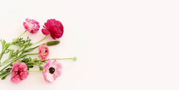 Beyaz Izole Edilmiş Arkaplan Üzerindeki Pembe Çiçeklerin Üst Görünümü — Stok fotoğraf