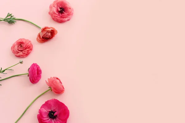 Top View Image Pink Flowers Composition Pastel Background — Stock fotografie