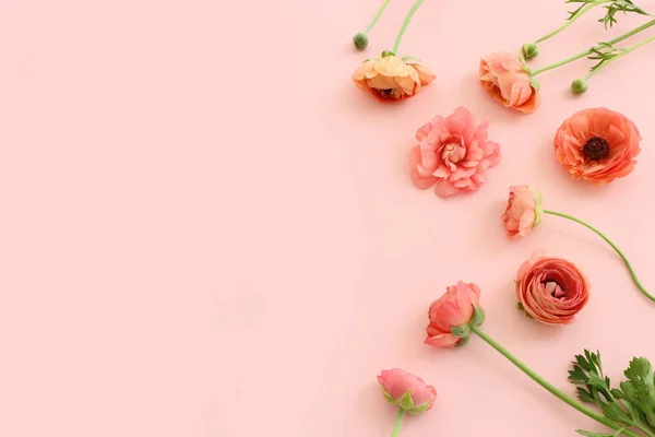 Top View Image Pink Flowers Composition Pastel Background — Stock Photo, Image