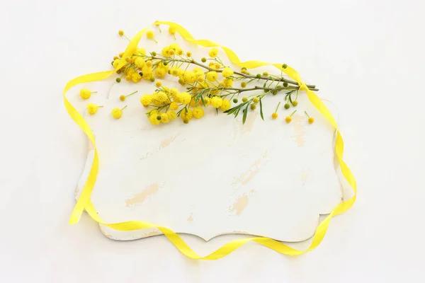 Vista Superior Flores Mimosa Amarillas Tablero Vacío Sobre Fondo Blanco — Foto de Stock