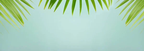 Afbeelding Van Palmblad Tropische Natuur Banner Achtergrond — Stockfoto