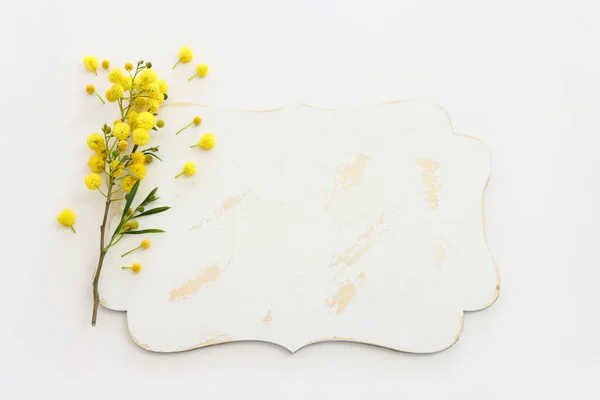 Sarı Mimoza Çiçeklerinin Üst Görüntüsü Beyaz Arka Planda Boş Tahta — Stok fotoğraf