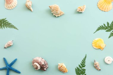deniz kabukları ve deniz yıldızları nane mavisi ahşap arka planda