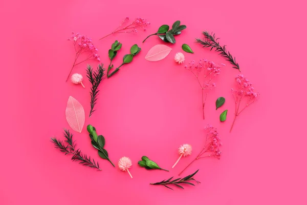 Зображення Верхнього Виду Рожевих Сухих Квітів Фоні Фуксії Плоский Шар — стокове фото