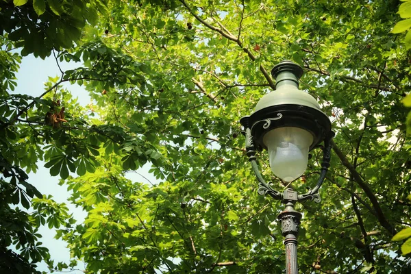 Una Antigua Lámpara Calle Parque Parisino Entre Los Árboles —  Fotos de Stock