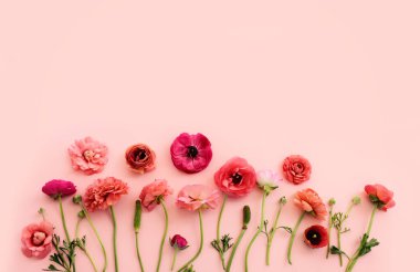 Pastel arkaplan üzerinde pembe çiçeklerin üst görünümü