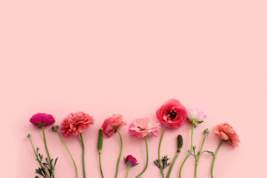 Pastel arkaplan üzerinde pembe çiçeklerin üst görünümü