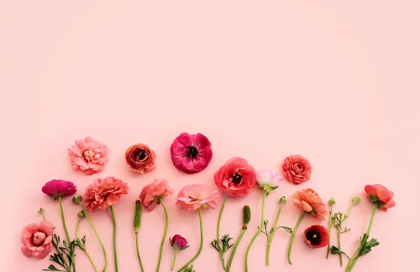 Image Vue Dessus Composition Des Fleurs Roses Sur Fond Pastel — Photo