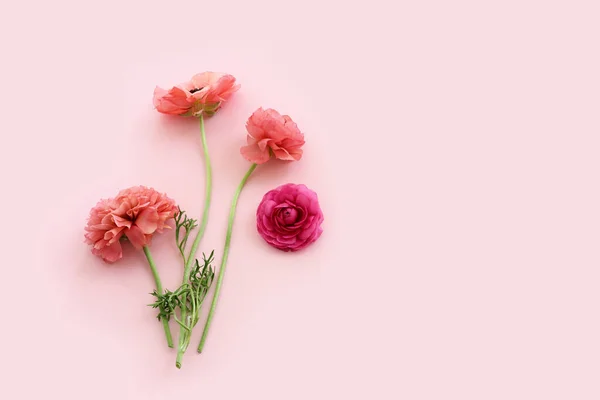 Top View Image Pink Flowers Composition Pastel Background — 스톡 사진