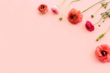 Pastel arkaplan üzerinde pembe çiçeklerin üst görünümü