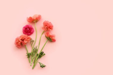 Pastel arkaplan üzerinde pembe çiçeklerin üst görünümü