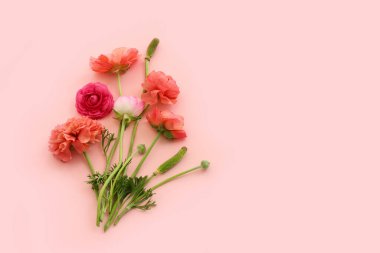 Pastel arkaplan üzerinde pembe çiçeklerin üst görünümü