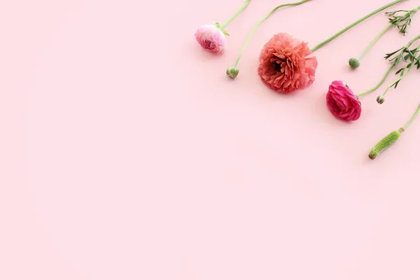 Ovanifrån Bild Rosa Blommor Sammansättning Över Pastell Bakgrund — Stockfoto