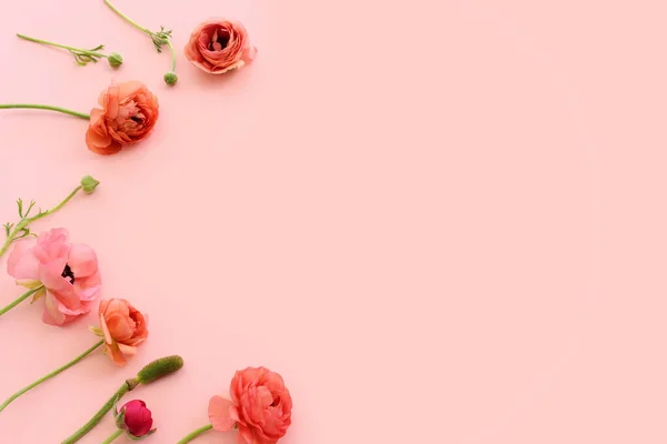 Top View Image Pink Flowers Composition Pastel Background — Photo
