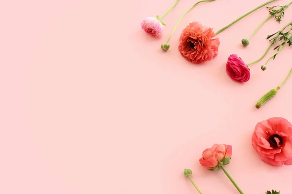 Image Vue Dessus Composition Des Fleurs Roses Sur Fond Pastel — Photo