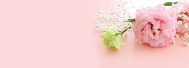 Top view image of pink flowers composition over pastel background