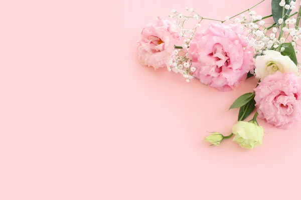 Horní Pohled Obrázek Jemné Růžové Květy Přes Pastelové Pozadí — Stock fotografie