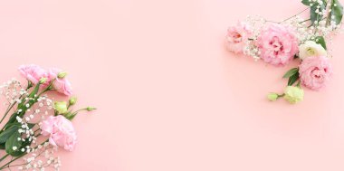 Pastel arkaplan üzerinde narin pembe çiçeklerin üst görünümü