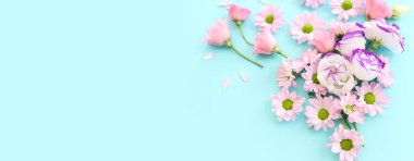 Pastel mavi arkaplan üzerindeki pembe çiçeklerin üst görünümü