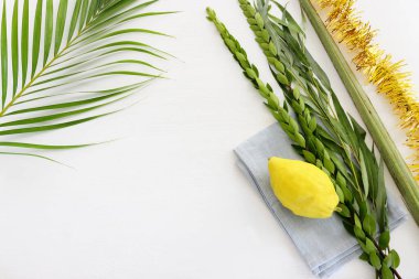Sukkot Yahudi Festivali. Geleneksel semboller (dört tür): Etrog (citron), lulav (palmiye dalı), hadas (mersin ağacı), arava (söğüt ağacı))
