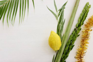 Sukkot Yahudi Festivali. Geleneksel semboller (dört tür): Etrog (citron), lulav (palmiye dalı), hadas (mersin ağacı), arava (söğüt ağacı))