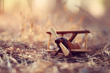 Günbatımında ormandaki tahta uçağın nostaljik ve büyülü görüntüsü.