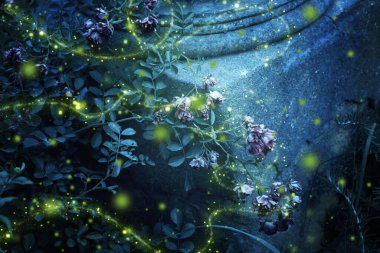 Firefly 'ın gece bahçesinde uçuşunun soyut görüntüsü. Peri masalı kavramı