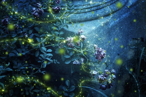 Abstraktní Obraz Firefly Létající Noční Kouzelné Zahradě Pohádkový Koncept — Stock fotografie