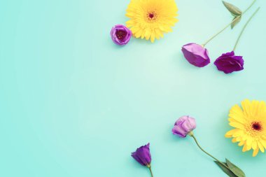 Pastel mavi arkaplan üzerinde pembe, mor ve sarı çiçek kompozisyonu. Düz yatıyordu.