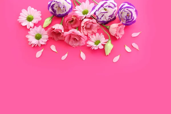 Top View Image Pink Flowers Composition Fuchsia Background — Stock Photo, Image