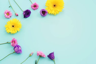 Pastel mavi arkaplan üzerinde pembe, mor ve sarı çiçek kompozisyonu. Düz yatıyordu.